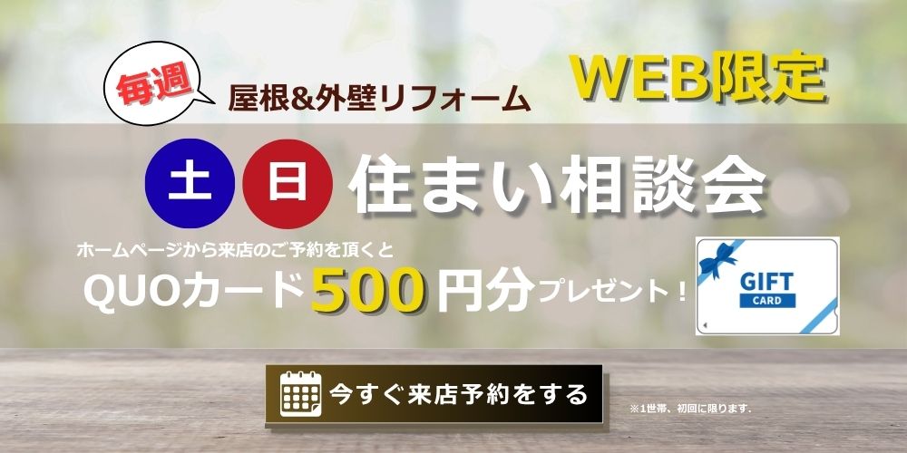 キャンペーン②